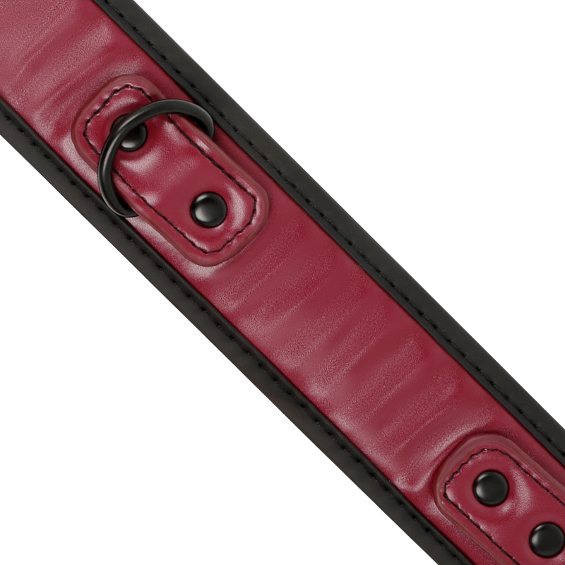 FETISH SUBMISSIVE DARK ROOM - COLLAR CON CADENA CON FORRO DE NEOPRENO - Imagen 4